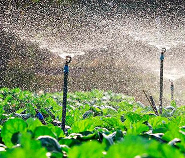 bombas-de-agua-en-agricultura